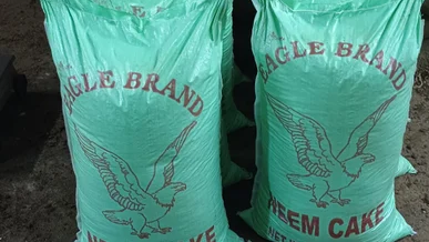 A.A.S.Traders A.A.S.Traders