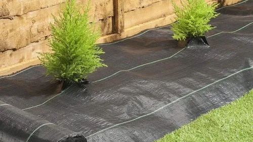 Evergreen Grow Bags Evergreen Grow Bags