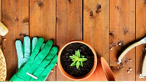 Cocoplanete Cocoplanete