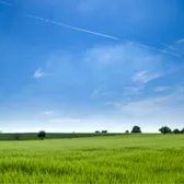 Tropical Biosciences Pvt. Ltd.