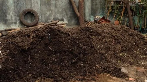 Vignesh Aravind Transports Vignesh Aravind Transports