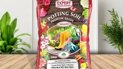 Pioneer Agro Industry Pioneer Agro Industry