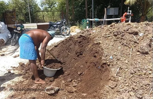 Vermicompost Vermicompost