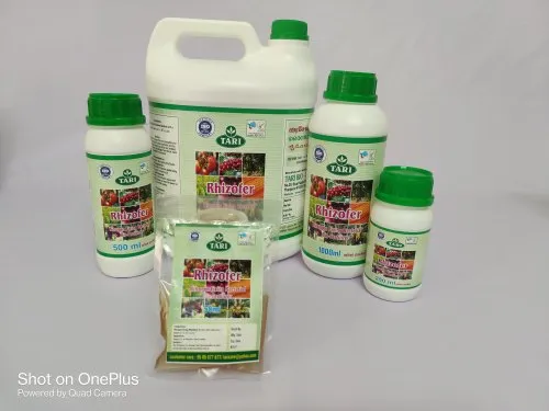 Rhizobium Sp Liquid Bio Fertilizer Rhizobium Sp Liquid Bio Fertilizer