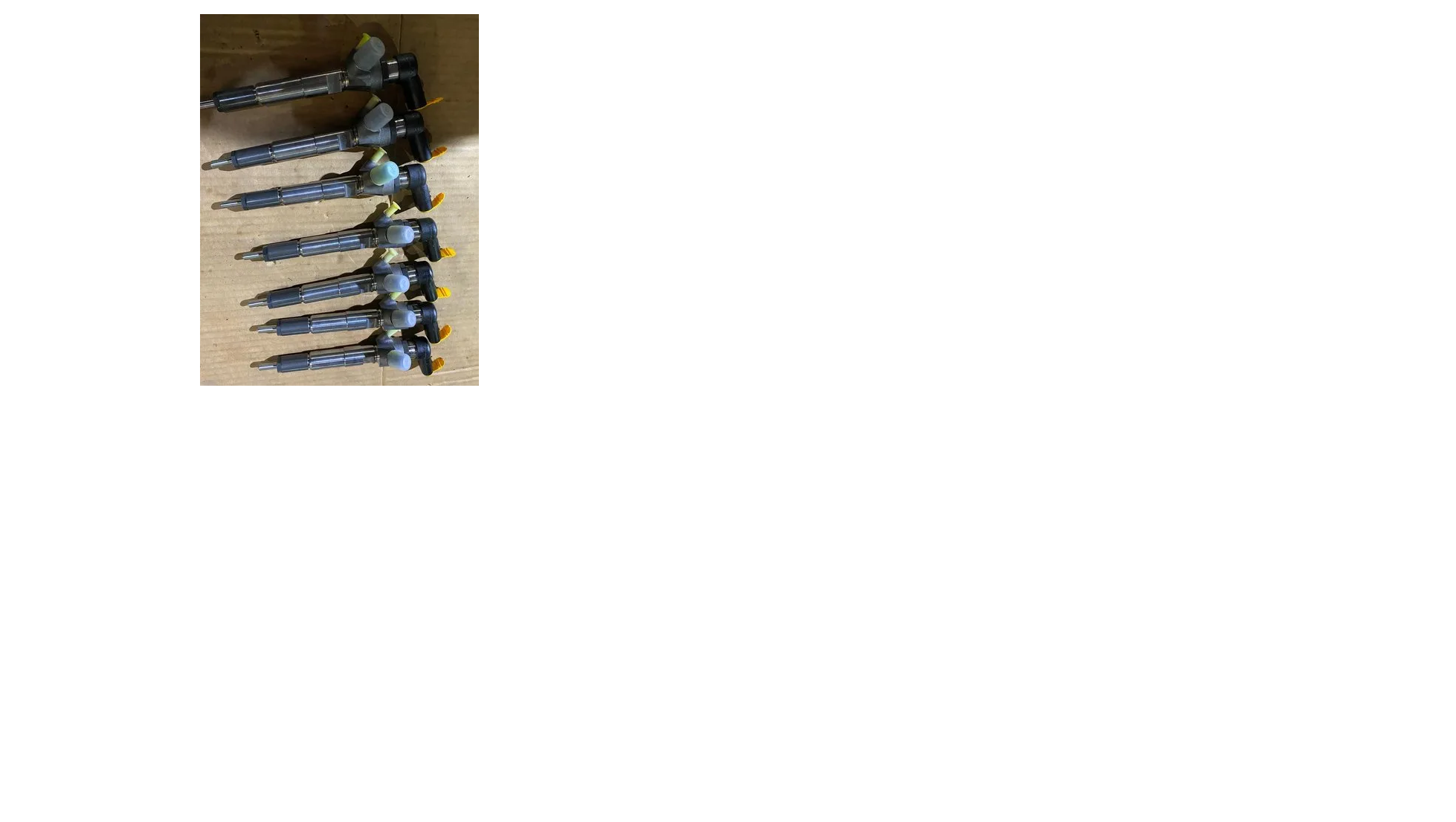 Duster Diesel Injector Duster Diesel Injector