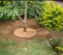 Coir Mulch Mat Coir Discs Coir Mulch Mat Coir Discs