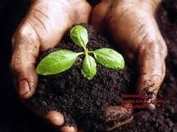 Bio Fertilizer Bio Fertilizer