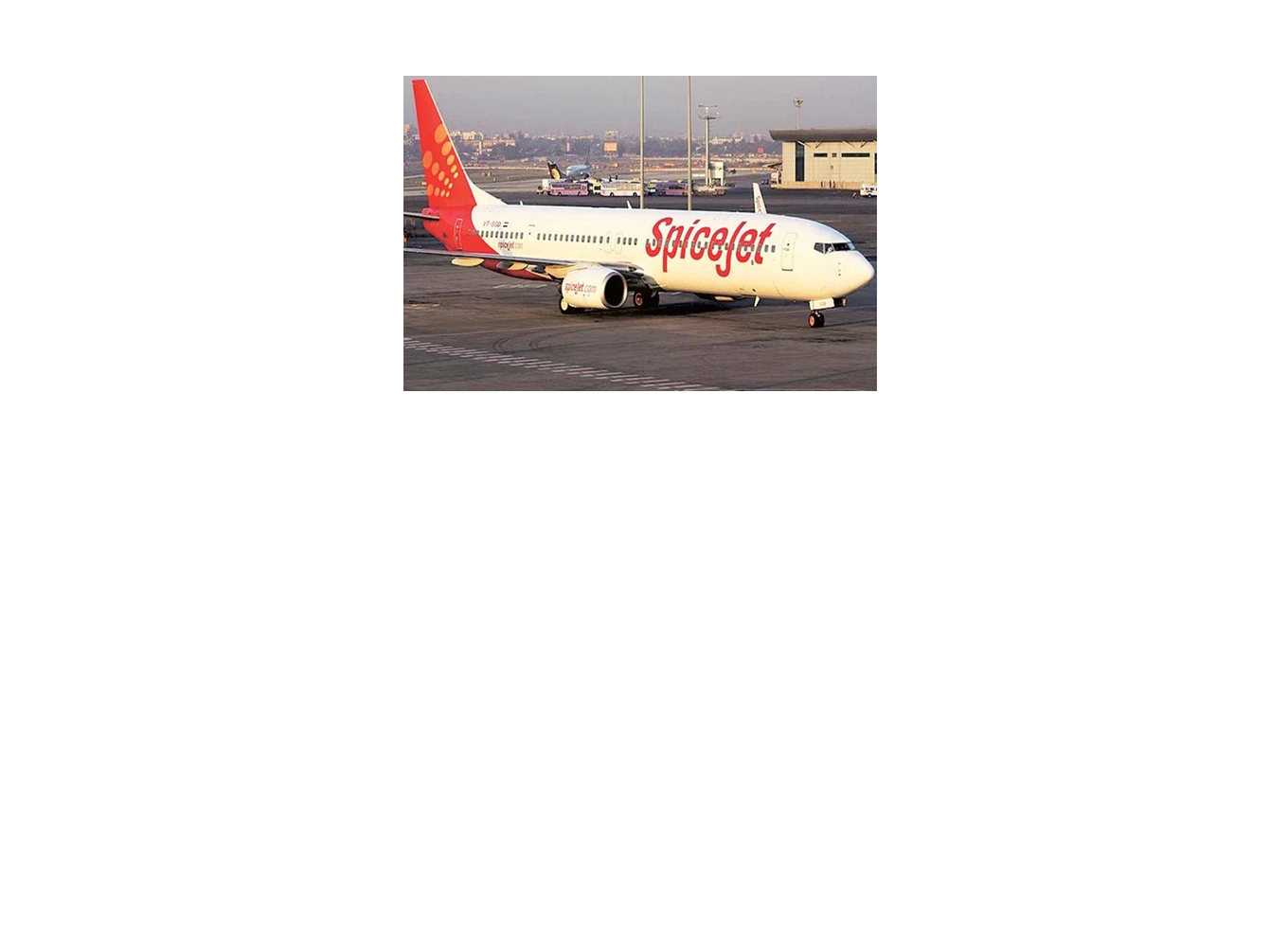 Domestic Air Cargo Service Domestic Air Cargo Service