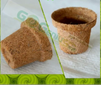 Coir Seed Germination Cups Coir Seed Germination Cups