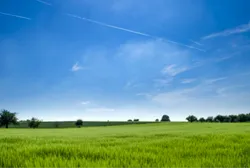 Bio Fertilizers Bio Fertilizers