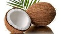 Coconut Coconut
