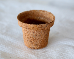 Coir Seedling Cup Coir Seedling Cup