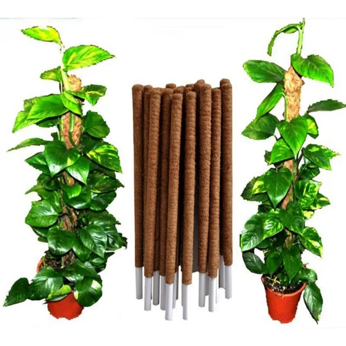 Coir Moss Sticks Coir Moss Sticks