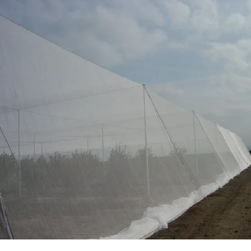 HDPE Anti Insect Net HDPE Anti Insect Net