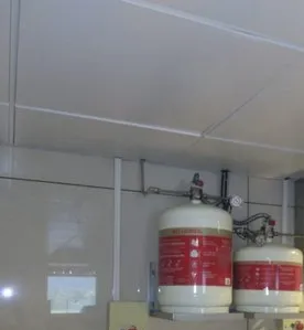 Fire Suppression System Fire Suppression System