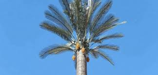 Tree Antenna Telecom Tree Antenna Telecom