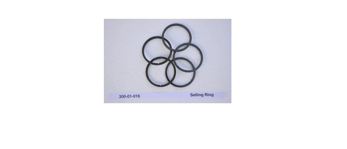 300-01-016 Marine Sealing Ring 300-01-016 Marine Sealing Ring