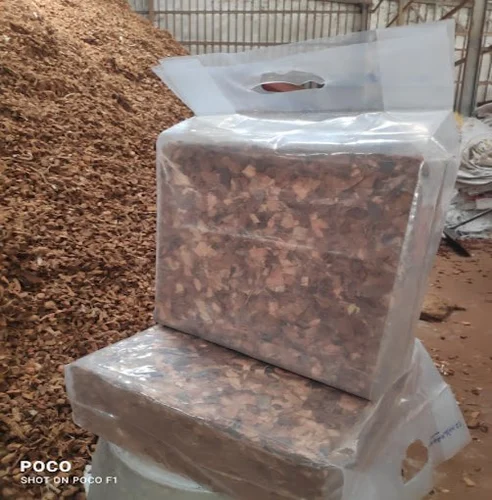 Coconut Shell Coconut Shell