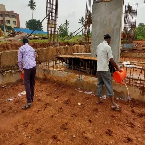 Termite Pest Control Service Termite Pest Control Service