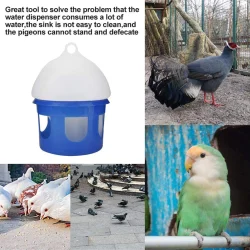 Pigeon Automatic Water Drinker Pigeon Automatic Water Drinker