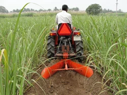 Earthing Up Inter Row Earthing Up Inter Row