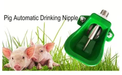 Automatic Pig Drinker Automatic Pig Drinker